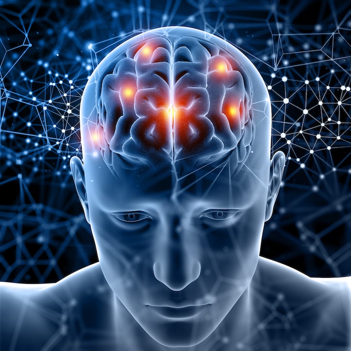 HUMAN BRAIN