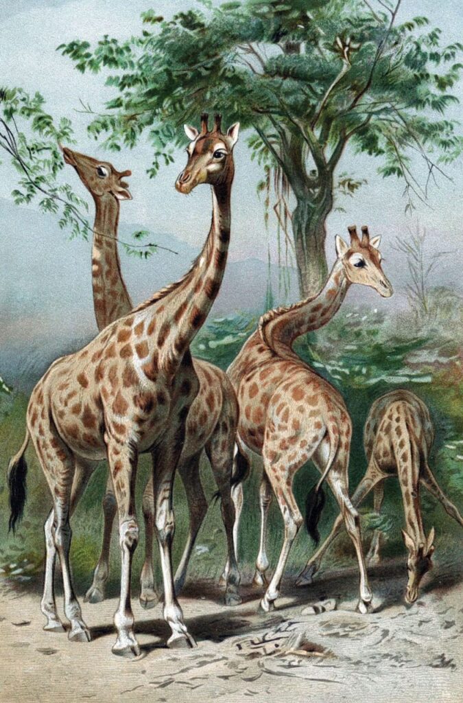 LAMARCKISM