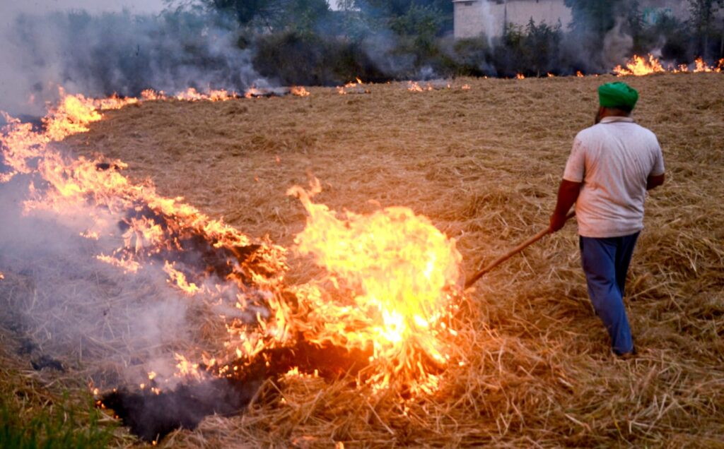 stubble burning in UP