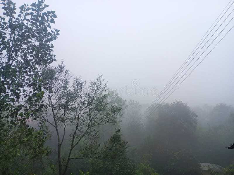 school timings extended